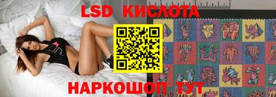 дурь Бердск
