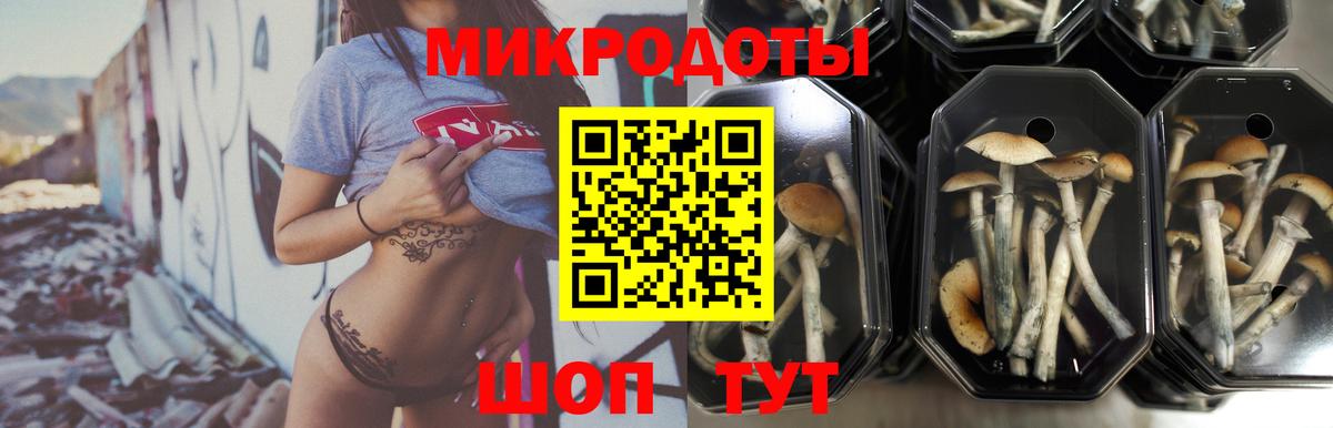 Псилоцибиновые грибы GOLDEN TEACHER  Вход с VPN  Воскресенск 
